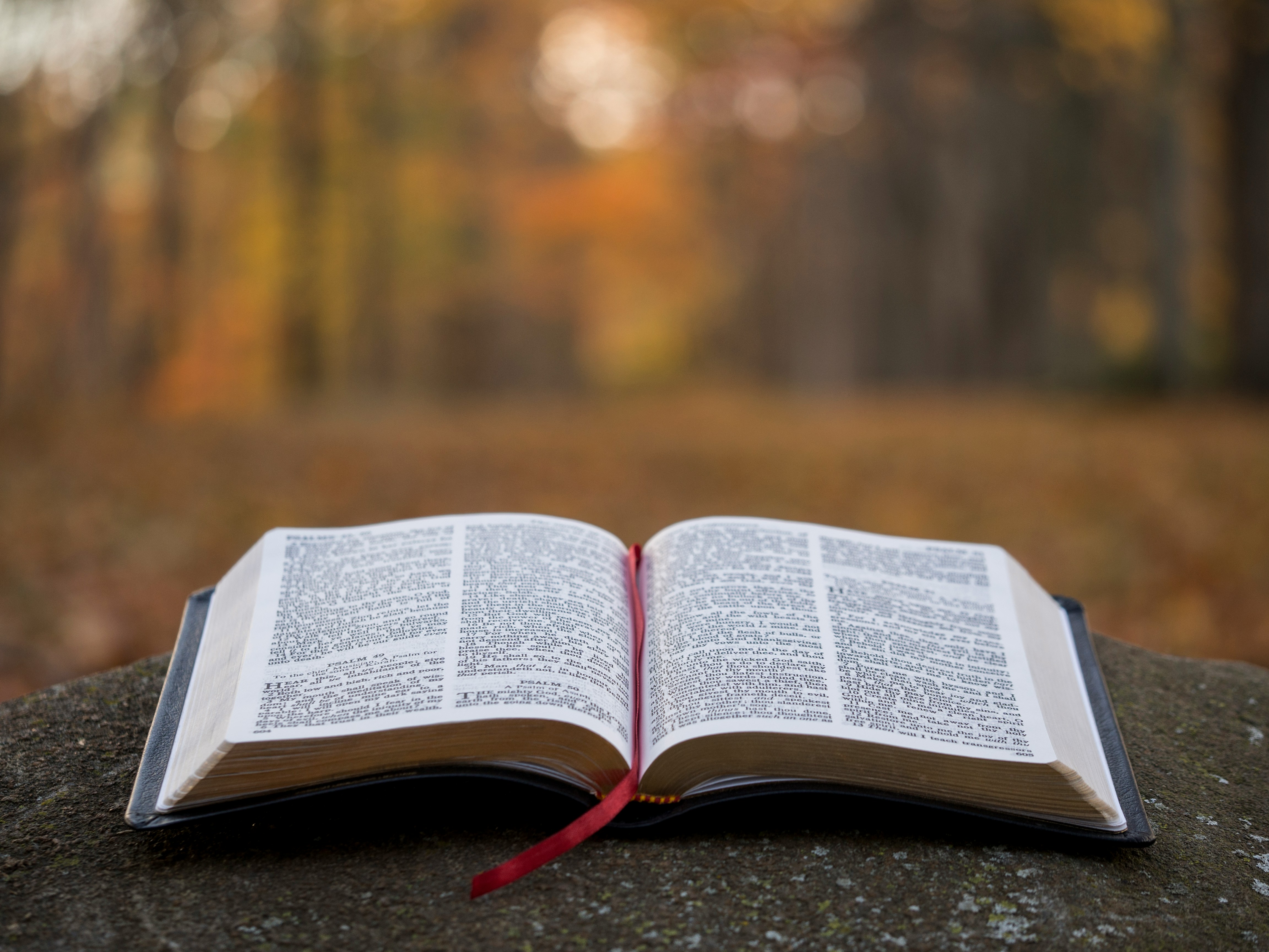Who is Jesus of Nazareth?